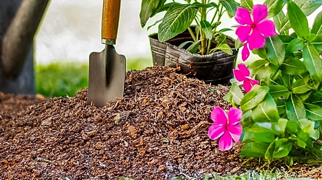 Autumn Leaves Offer Free Resources for Gardeners, Promoting Sustainable Practices