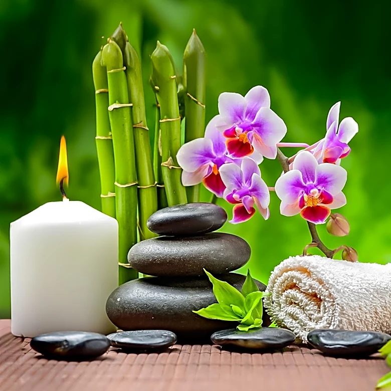 The Green Room Salon Studio Emphasizes Holistic Hair and Body Health in North Liberty