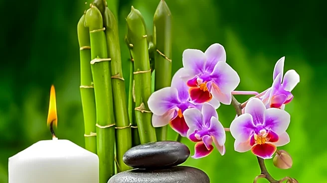 The Green Room Salon Studio Emphasizes Holistic Hair and Body Health in North Liberty