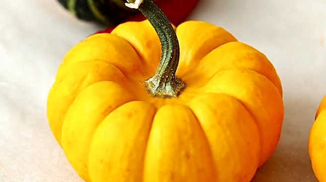 Pumpkin Varieties Offer Nostalgic Flavors for Autumnal Dishes