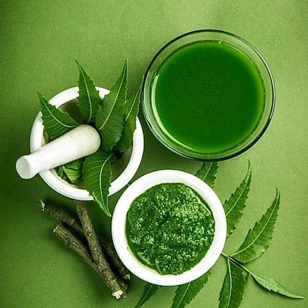 Lakewood's Roots of Reverence Connects Community with Plant-Based Medicine and Local Makers