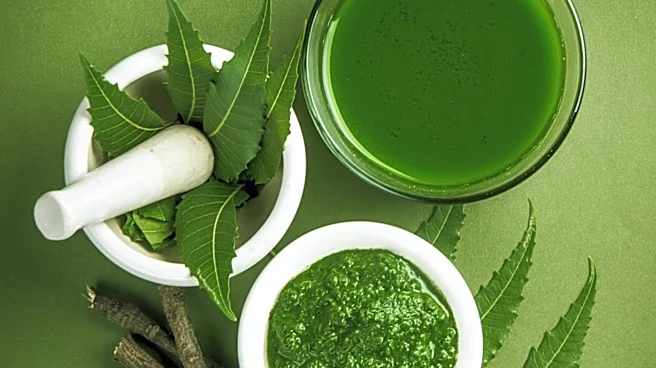 Lakewood's Roots of Reverence Connects Community with Plant-Based Medicine and Local Makers
