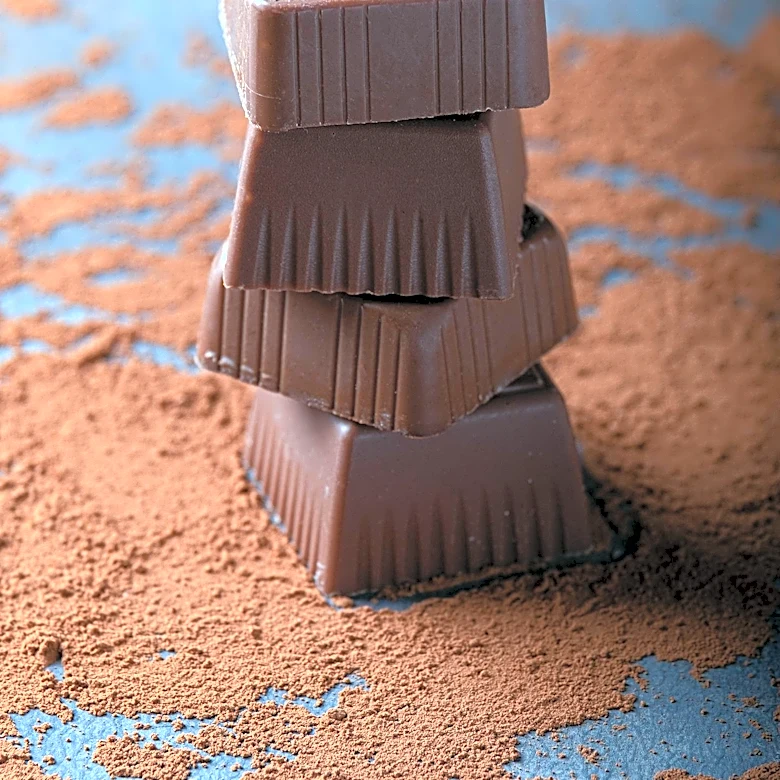 WunderHaus, a Boston-based Biotech Company, Introduces Lab-Made Chocolate to Market