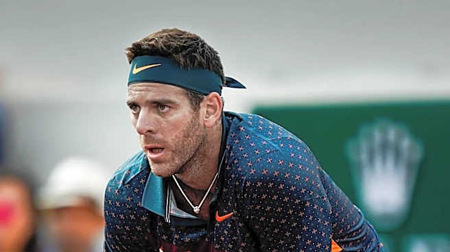 Juan Martin del Potro Wins Fan Vote for 2027 Tennis Hall of Fame Induction