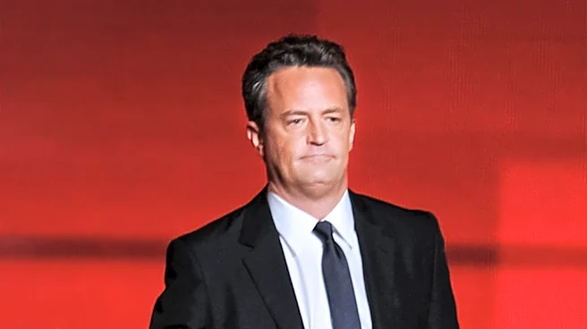 Matthew Perry's Brother-in-Law Comments on Actor's Death and Upcoming Netflix Documentary