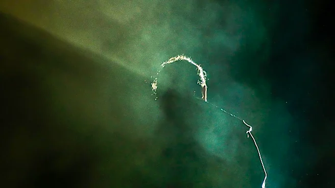 Post Malone Teases Massive 50-Song Album 'The Eternal Buzz', Blending Genres