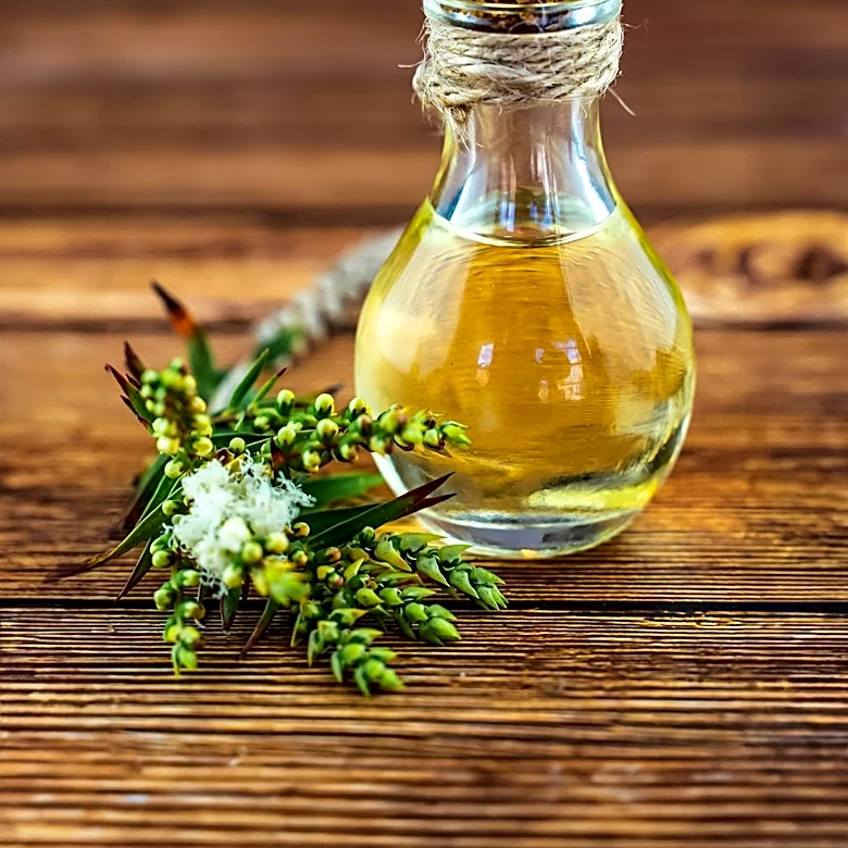 Tea Tree Oil Shows Promise for Mild Acne Treatment, Research Indicates