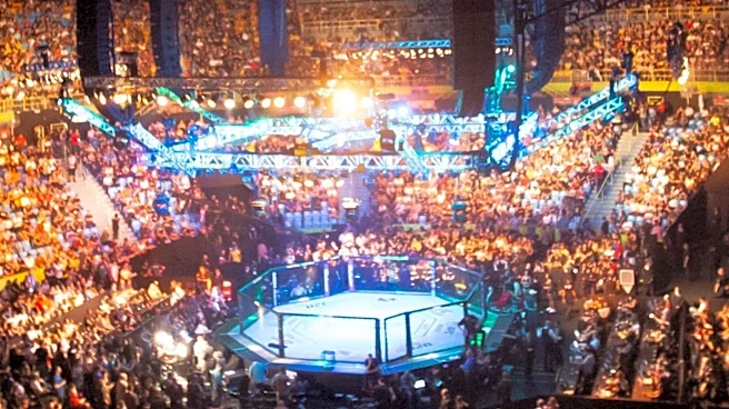 Luis Francischinelli Earns UFC Contract on Dana White's Contender Series