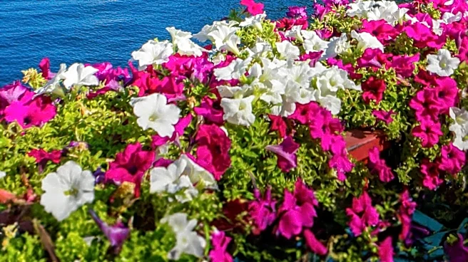 Lake Como Offers Picturesque Views and Luxury Experiences in Italy