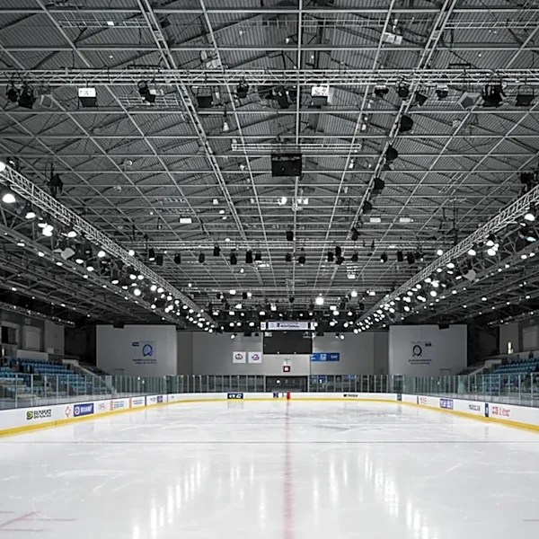 San Jose Sharks Game in 1995 Remains NHL's Only Rain-Canceled Match