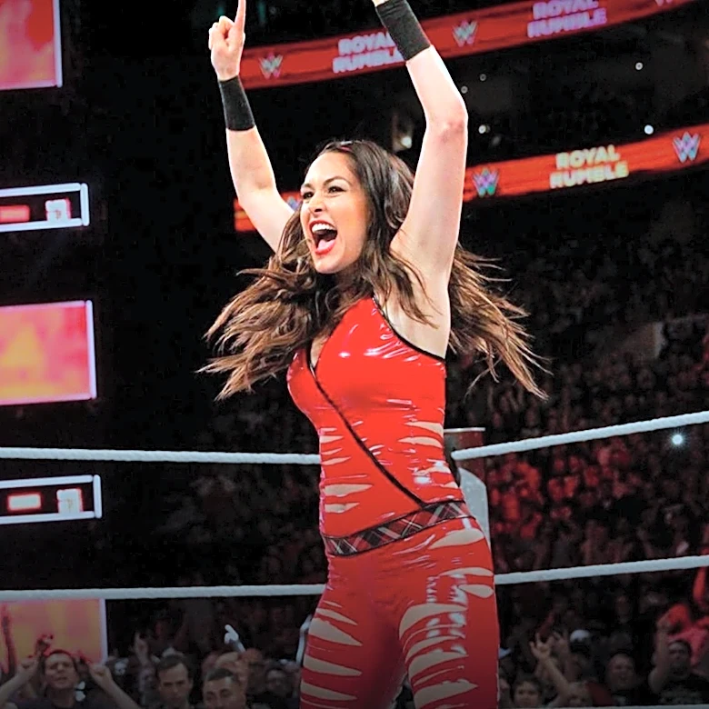 WWE's Post-Royal Rumble 2015 Plans Derailed by Blizzard and Fan Backlash
