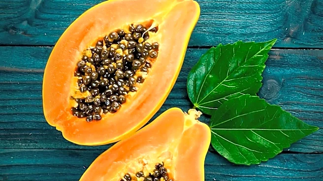 Papaya Leaf Tea Emerges as Caffeine-Free Alternative for Gentler Flavor and Drinking Experience