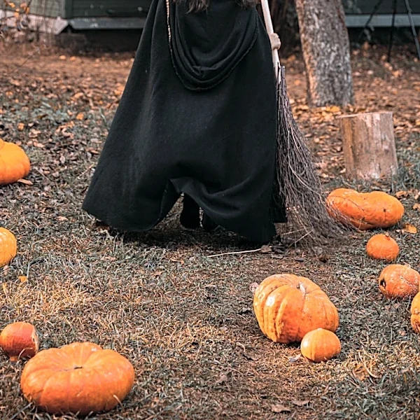 Bowling Green City Government Recommends Halloween Trick-or-Treating Hours