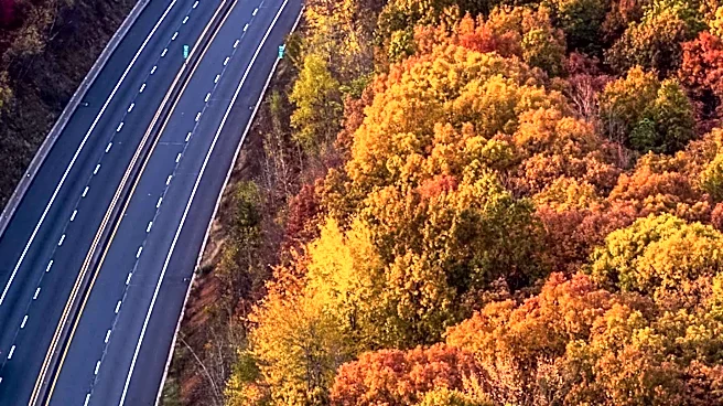 Clarksville Anticipates Peak Fall Foliage Despite 'Very Poor' Color Quality Forecast