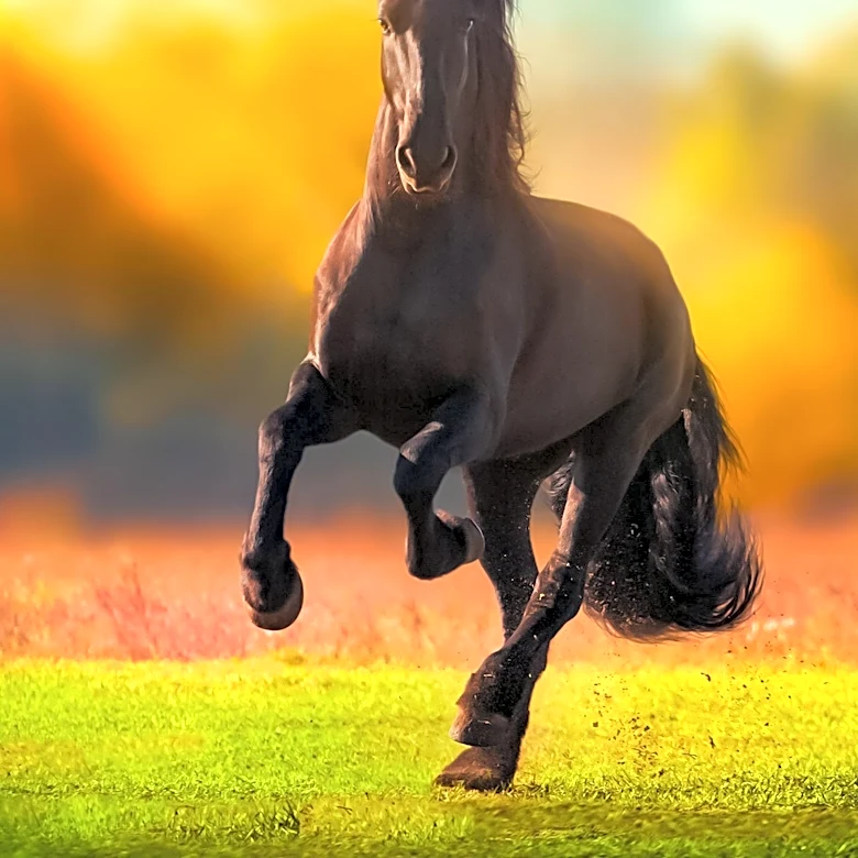 American Stallion Expands into Physician-Led Telehealth and Men's Health Services