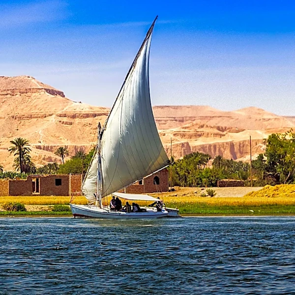 Nile Cruisen Offers Multilingual Tour Guides to Enhance Egyptian Historical Experience for International Travelers