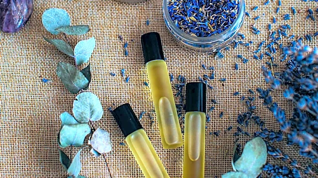 Holistic Wellness Routines Emphasize Integrated Self-Care for Overall Well-being