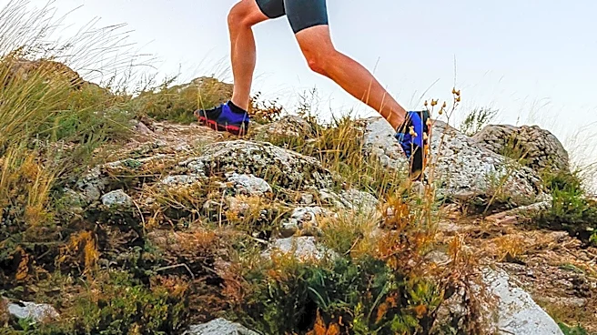 Trail Running Footwear: When to Choose Specialized Shoes for Varied Terrains