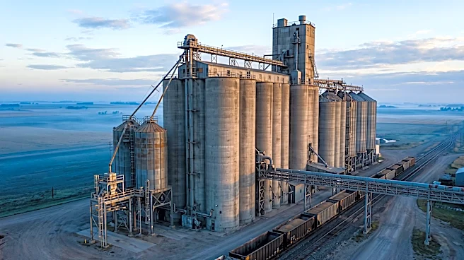 Bunge Reports Strong Q3 Results Amidst Volatile Agricultural Market, Anticipates Elevated Working Capital Needs