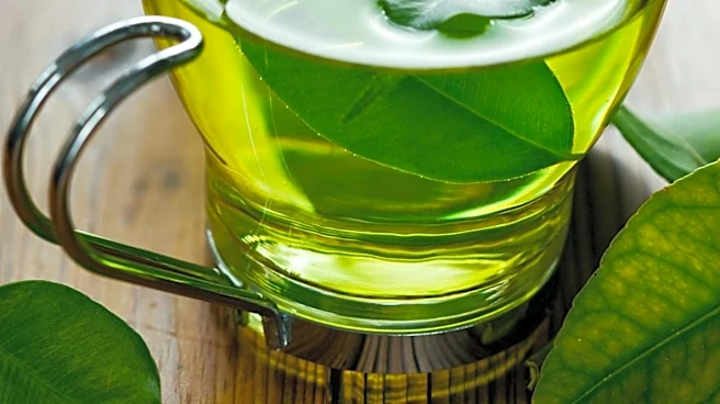 Experts Advise on Optimal Green Tea Consumption for Gut Health Benefits