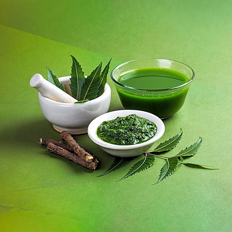 Sattvic Diet Principles Emphasize Freshness and Balance in Yogic and Ayurvedic Practices