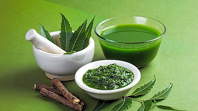 Sattvic Diet Principles Emphasize Freshness and Balance in Yogic and Ayurvedic Practices