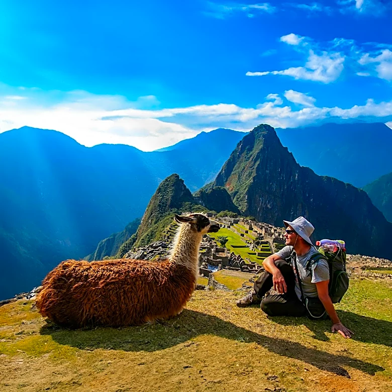 Headwaters Outfitters to Host Unique Llama-Guided Hikes in DuPont State Forest
