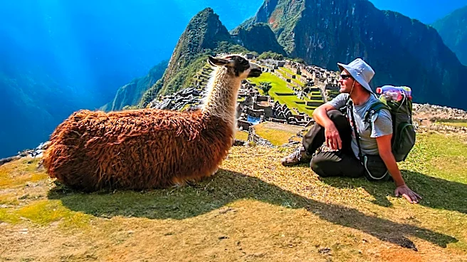 Headwaters Outfitters to Host Unique Llama-Guided Hikes in DuPont State Forest