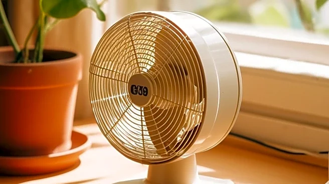 BLDC Ceiling Fans Gain Traction for Quiet Operation in Study Rooms, Balancing Airflow and Noise