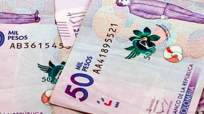 Colombia's Central Bank Maintains Benchmark Interest Rate at 12.25% Amidst Inflation and Economic Slowdown Concerns