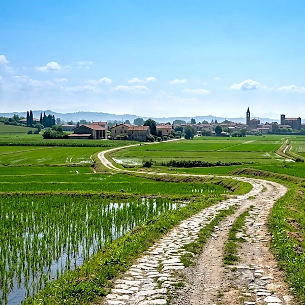 Lombardy Region and EAVF Collaborate to Enhance Via Francigena for Slow Tourism and UNESCO Recognition