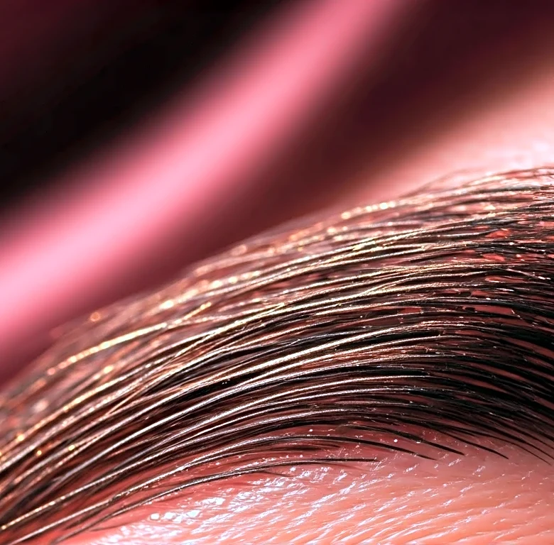 The American Music Awards Brow Trend That Makes Soft Glam Feel Expensive