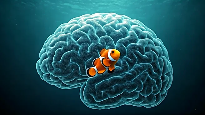 The Finding Nemo Grief Theory That Reframes Marlin’s Journey
