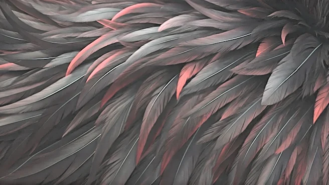The Black Glamour Lineage Behind Feather Trim at ESSENCE Festival