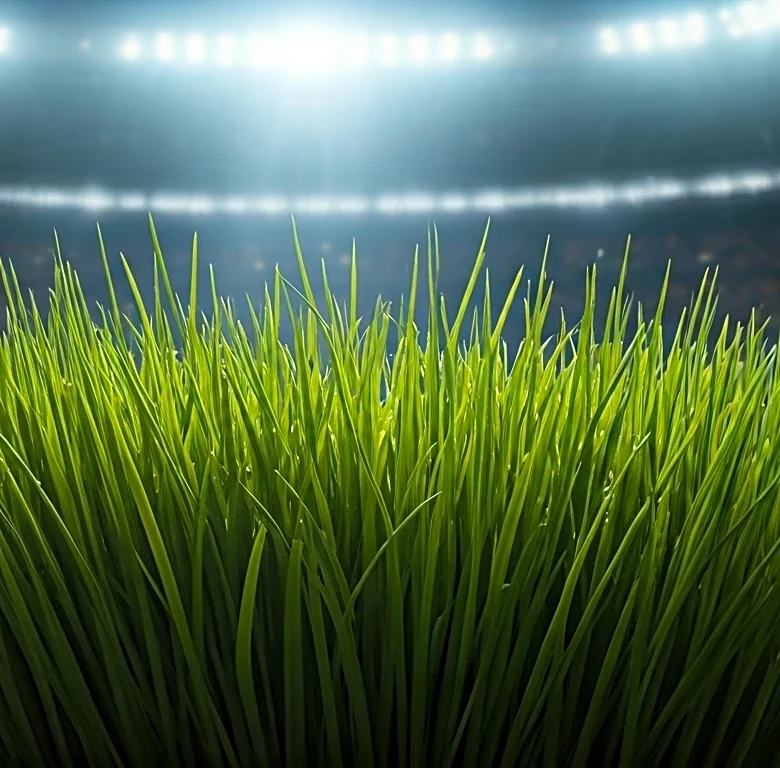 Why Natural Grass Is a Bigger Venue Story Than Casual Fans Realize