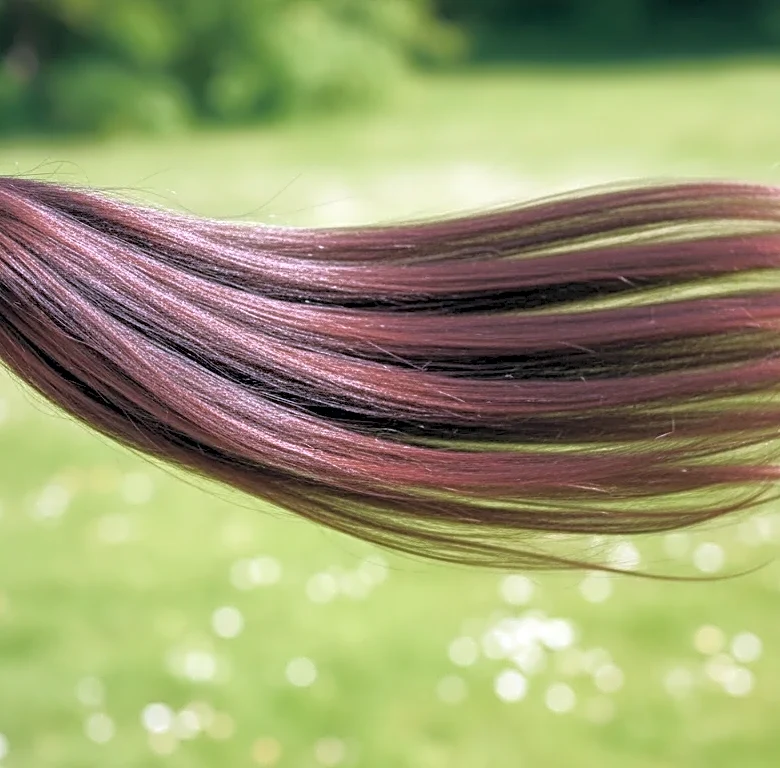 Why Wimbledon Keeps Making Frizz-free Ponytails Feel Like a Summer Status Symbol, with Pieces You Might Already Own