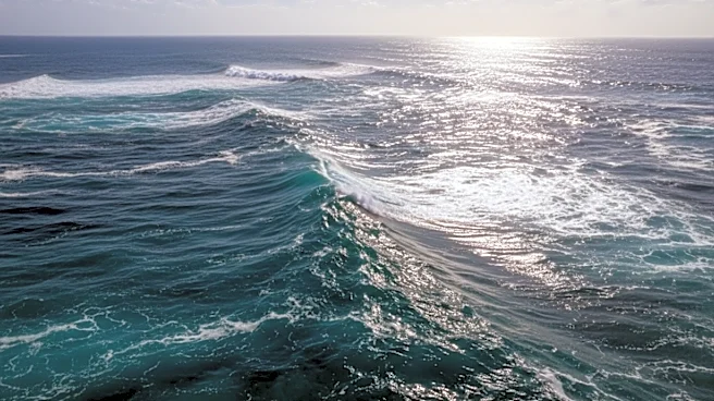 The Cinematic Problem of Making an Animated Ocean Feel Sacred, Funny, and Physical