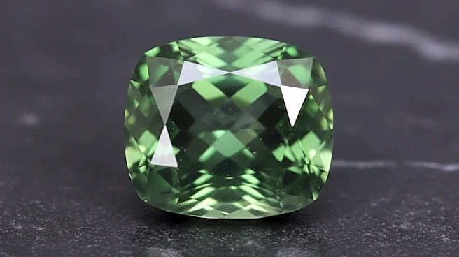 The Hidden Detail in Tsavorite Garnet That Reveals True Craftsmanship