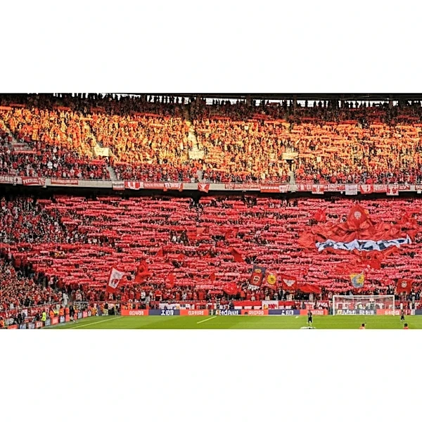 South Korea's Soccer Cup Fan Culture and the Power of Shared Belief