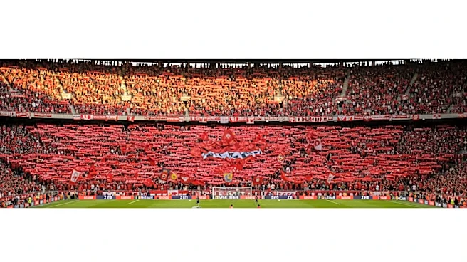 South Korea's Soccer Cup Fan Culture and the Power of Shared Belief