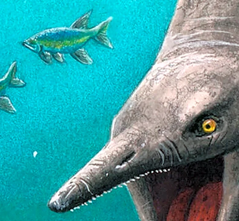 The Biology Of Taumoeba And The Logic Of Its Evolutionary Advantage