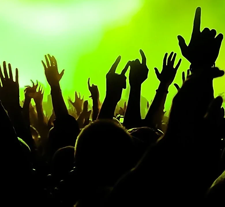 9 Playful Outside Lands Crowd Archetypes You May Recognize