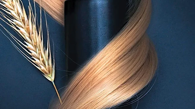 How Collagen for Hair Quietly Reshaped Modern Hair Care
