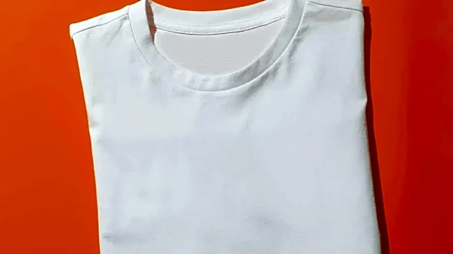 What the Crewneck T-Shirt Looks Like in Mid-Range vs. Premium Brands