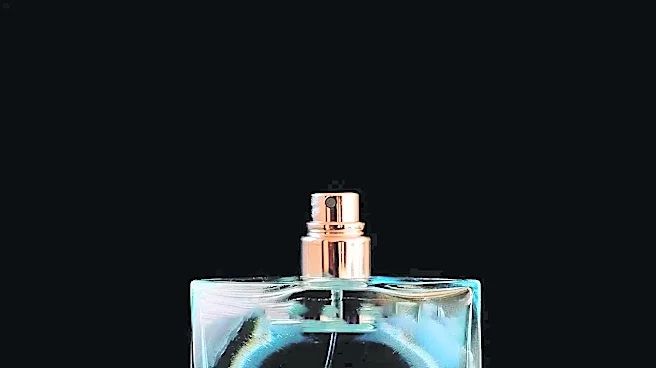 5 Fragrances You'll Love If You Wear Dior Sauvage Variations