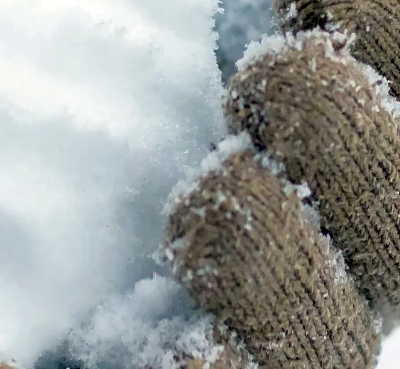 Where to Find Quality Wool Gloves in America