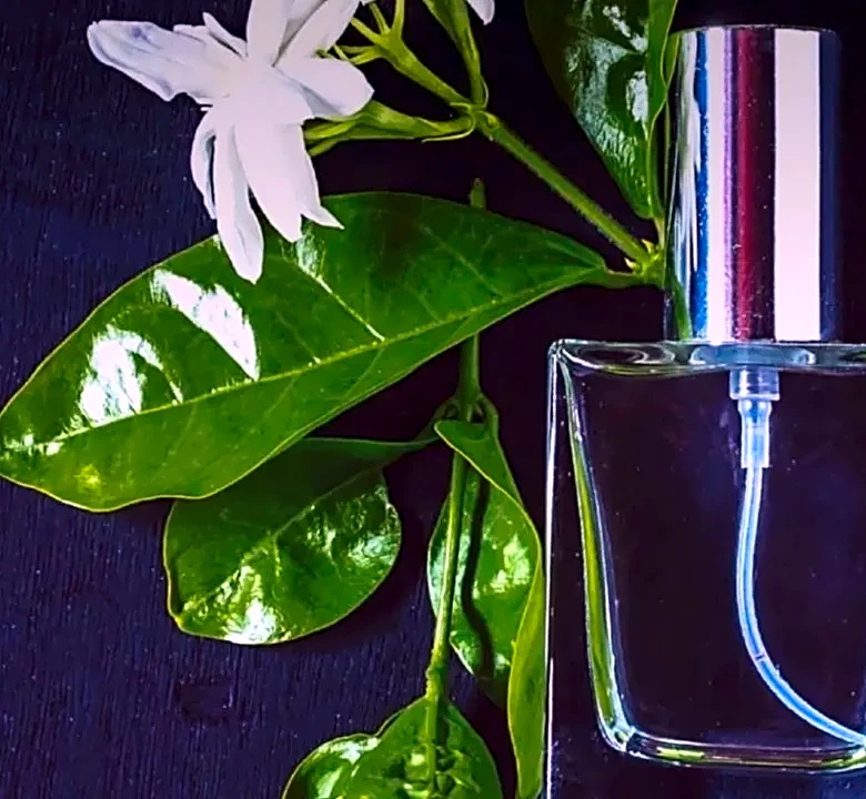 Why Most Americans Misread Fragrance Families: Floral, Oriental, Woody, and Fresh