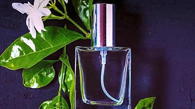 Why Most Americans Misread Fragrance Families: Floral, Oriental, Woody, and Fresh