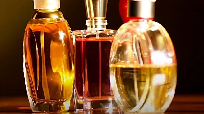 If You Love Chypre Fragrances, These 6 Brands Make It Best