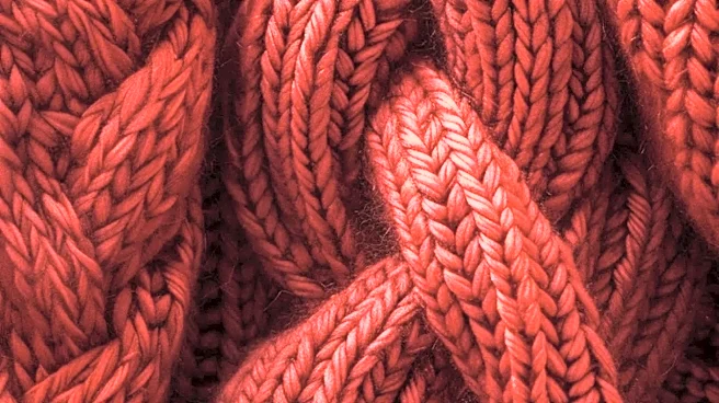 5 Pieces to Pair With Interlock Knit